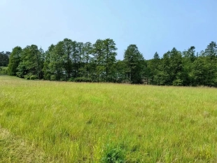 Działka z linią brzegową jeziora Wygryny w Wygrynach - zdjęcie 6