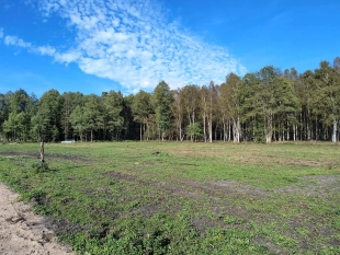 6 dużych działek rekreacyjnych 150 m od jeziora Roś - zdjęcie 10