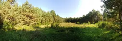 Działka na Mazurach, Jerutki - zdjęcie 1